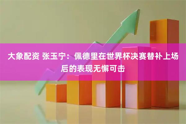 大象配资 张玉宁：佩德里在世界杯决赛替补上场后的表现无懈可击